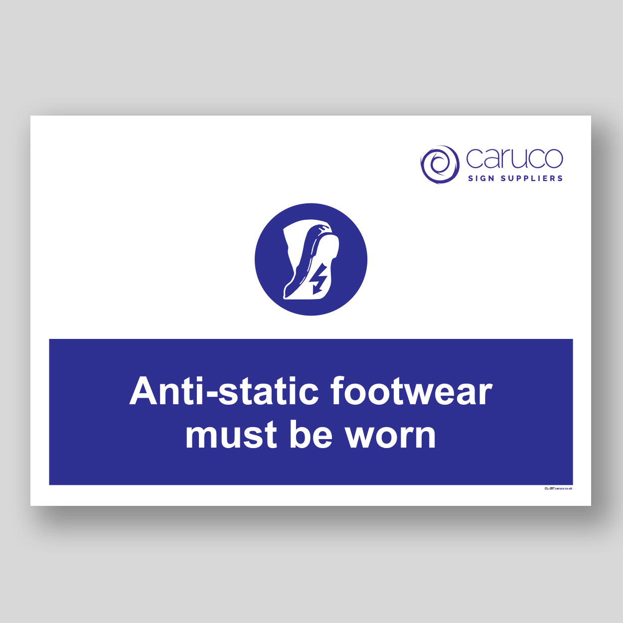CL-287 Anti-static footwear